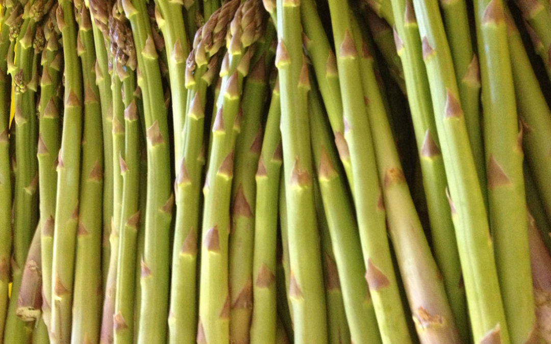 Asparagus Season