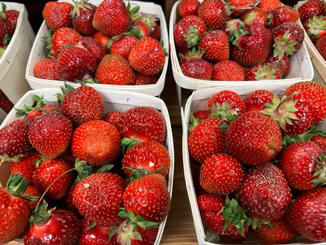Strawberry Season Is Here!