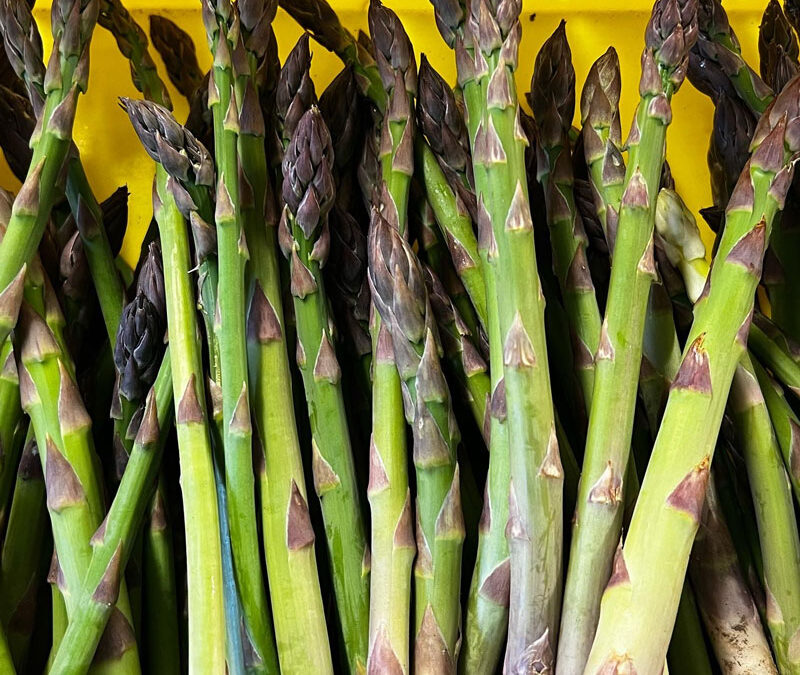 Homegrown Asparagus