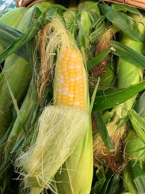 Homegrown Sweet Corn!