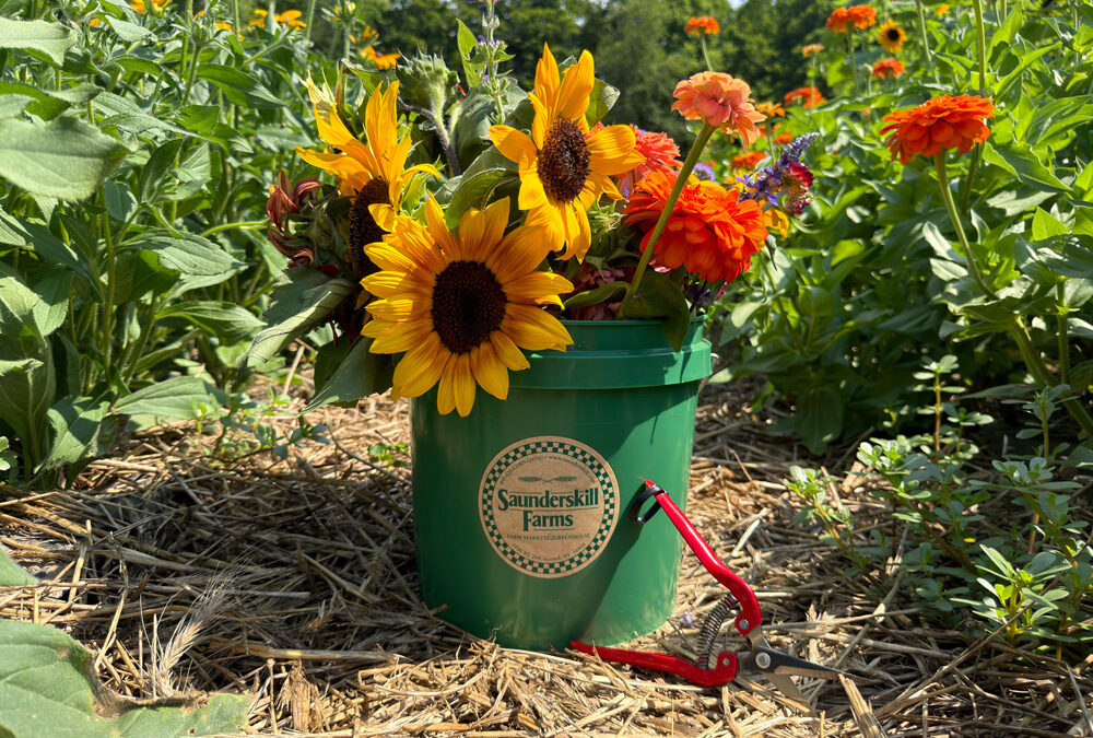 Pick Your Own Flowers