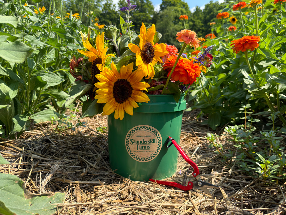 Pick Your Own Flowers at Saunderskill Farms